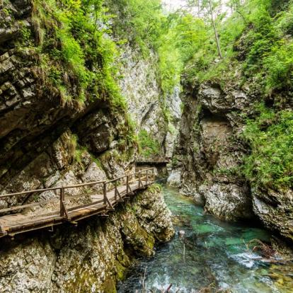 Voyage en Slovénie : Ljubljana et Bled - perle des Alpes Juliennes
