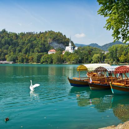Bled Lake Voyage en Slovénie : Paradis Slovène