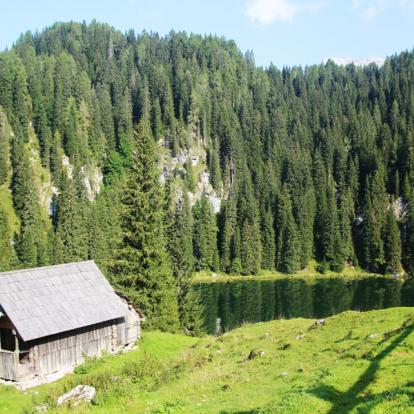 Voyage en Slovénie : Paradis Slovène