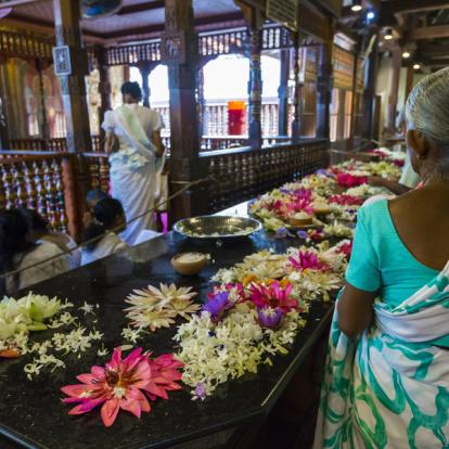 Circuit au Sri Lanka : Backpacker Tour au Sri Lanka