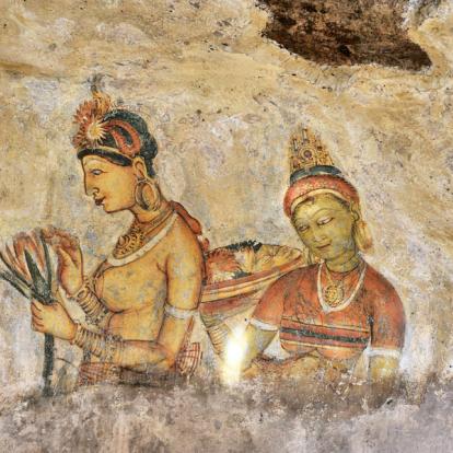 Circuit au Sri Lanka : Backpacker Tour au Sri Lanka