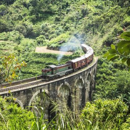 Circuit au Sri Lanka : Backpacker Tour au Sri Lanka