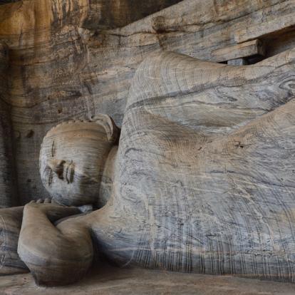 Circuit au Sri Lanka : Backpacker Tour au Sri Lanka
