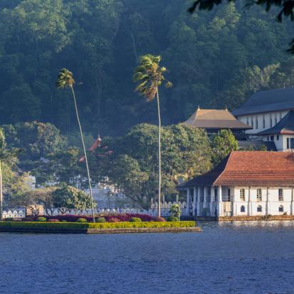 Circuit au Sri Lanka - Le Sri Lanka dans tous ses états