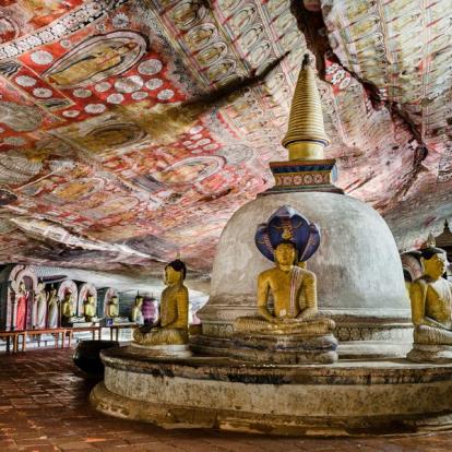 Voyage au Sri Lanka - Le Sri Lanka dans tous ses états