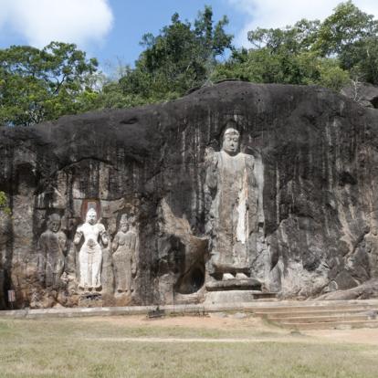 Voyage au Sri Lanka : L''Essentiel