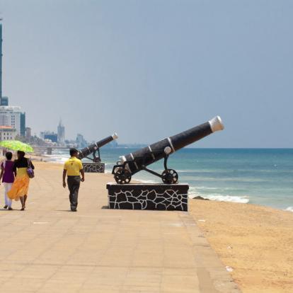 Voyage au Sri Lanka : L''Essentiel