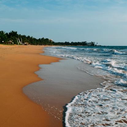 Circuit au Sri Lanka : L''Essentiel
