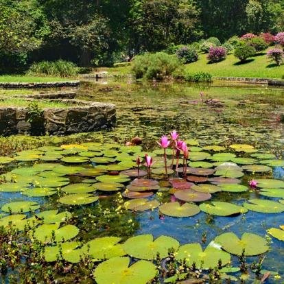 Voyage au Sri Lanka : .Le Sri Lanka en Famille