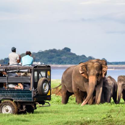 Voyage au Sri Lanka : .Le Sri Lanka en Famille