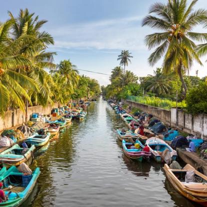 Circuit au Sri Lanka : .Le Sri Lanka en Famille