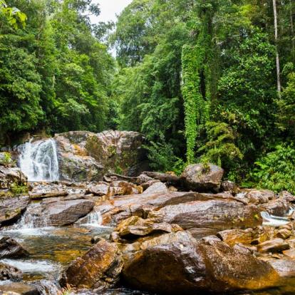 Voyage au Sri Lanka : Le Sri Lanka...Tout Simplement