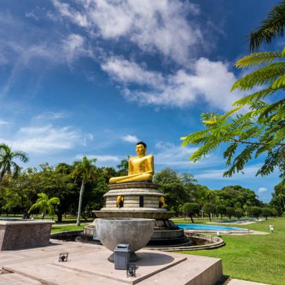 Circuit au Sri Lanka : Le Sri Lanka...Tout Simplement