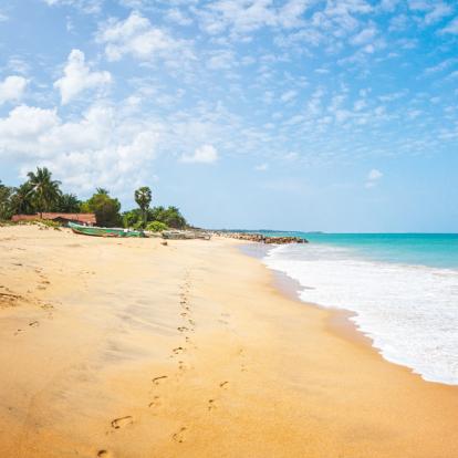 Voyage au Sri Lanka : Le Sri Lanka...Tout Simplement
