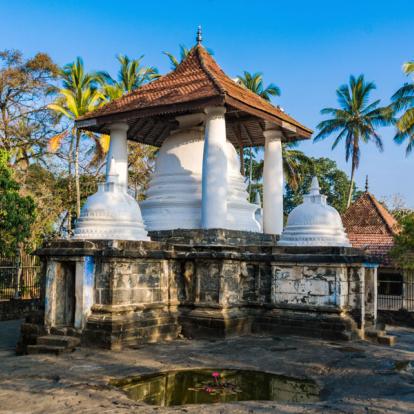 Voyage au Sri Lanka : Le Sri Lanka...Tout Simplement