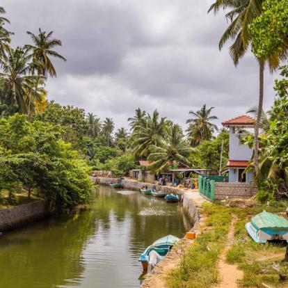 Voyage au Sri Lanka : Le Triangle Culturel
