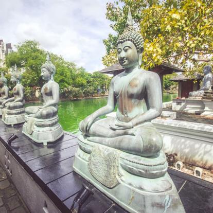 Voyage Sri Lanka : Le Triangle Culturel