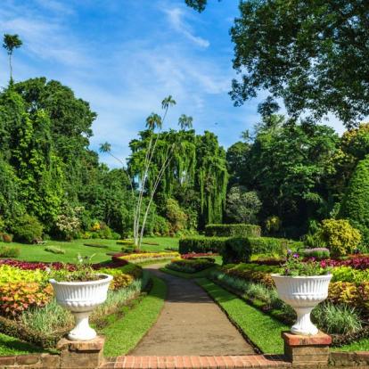Voyage au Sri Lanka : Retour sur le Sri Lanka Colonial