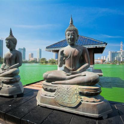 Voyage au Sri Lanka : Le tour du Sri Lanka