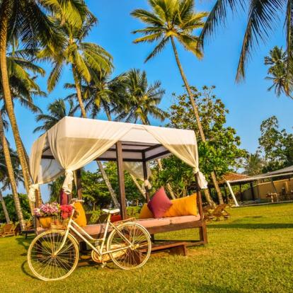 Voyage au Sri Lanka : Le tour du Sri Lanka