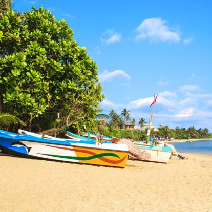 Circuit au Sri Lanka : Le tour du Sri Lanka