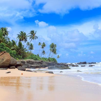 Voyage au Sri Lanka : Le tour du Sri Lanka