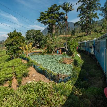 Voyage au Sri Lanka : Le tour du Sri Lanka