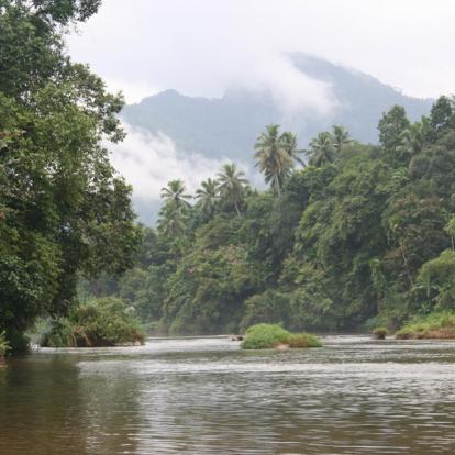 Voyage au Sri Lanka : Trésors naturel du Sri Lanka
