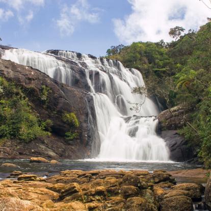 Circuit au Sri Lanka : Trésors naturel du Sri Lanka