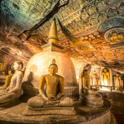 Voyage au Sri Lanka : Trésors naturel du Sri Lanka