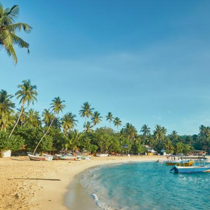 Circuit au Sri Lanka : Trésors naturel du Sri Lanka