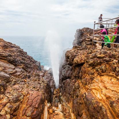 Voyage au Sri Lanka : Trésors naturel du Sri Lanka