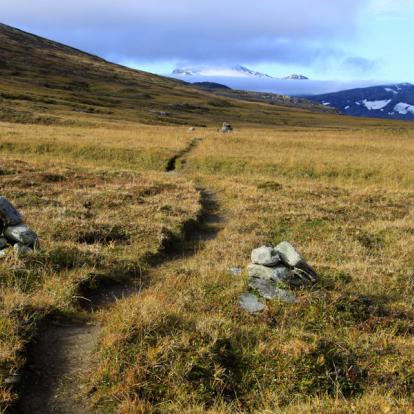 Circuit en Suède: À la Croisée des Parcs Nationaux