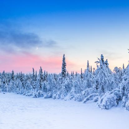 Circuit en Suède: Trek d'hiver dans le parc National de Sarek
