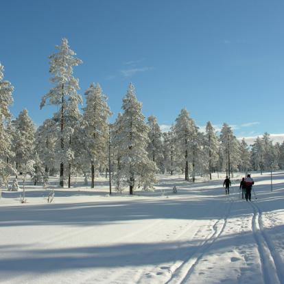 Circuit en Suède: Skis Nordiques en Laponie Suédoise
