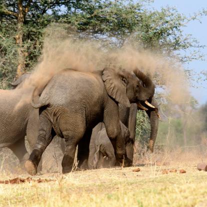Voyage en Tanzanie : Les Perles du Sud Tanzanien