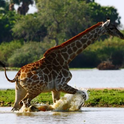 Circuits en Tanzanie : Les Perles du Sud Tanzanien