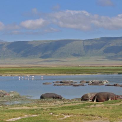 Voyage en Tanzanie : Safari camping en Tanzanie du Nord