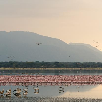 Voyage en Tanzanie : Safari camping en Tanzanie du Nord