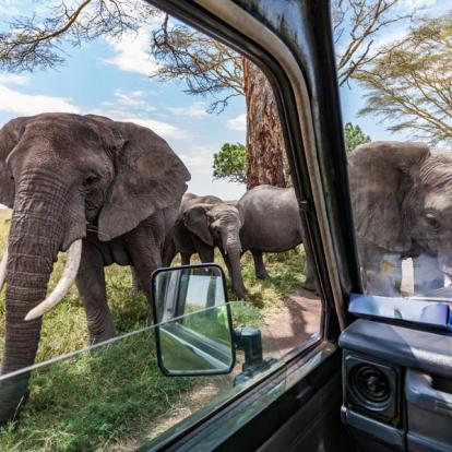 Voyage en Tanzanie : Safari camping en Tanzanie du Nord