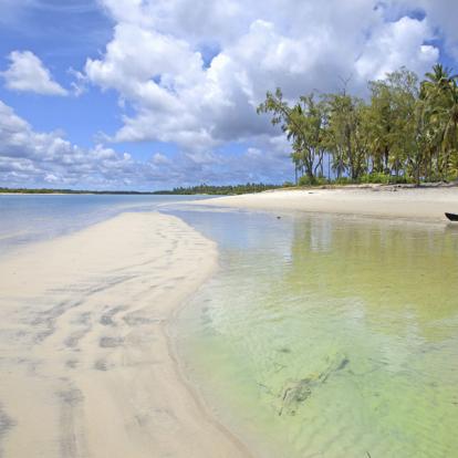 Voyage en Tanzanie : Terre et mer, Géants de Tanzanie
