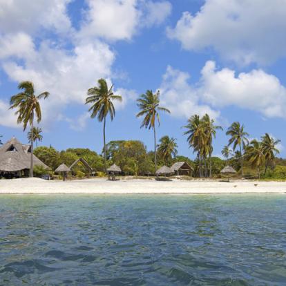 Safari en Tanzanie : Terre et mer, Géants de Tanzanie