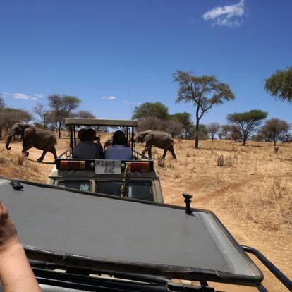 Voyage en Tanzanie : Trésors et Tribus de Tanzanie