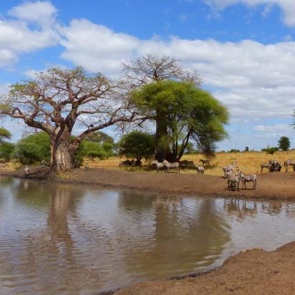 Circuit en Tanzanie : Trésors et Tribus de Tanzanie