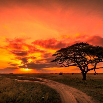 Voyage en Tanzanie : Trésors et Tribus de Tanzanie