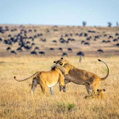 Circuit en Tanzanie : Trésors et Tribus de Tanzanie