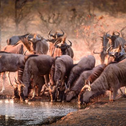 Voyage en Tanzanie : Trésors et Tribus de Tanzanie