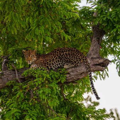 Circuit en Tanzanie : Une Afrique Hors du Temps