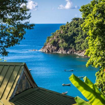 Voyage à Trinité et Tobago: A la découverte de Tobago