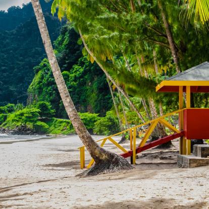 Voyage à Trinité et Tobago: A la découverte de Tobago